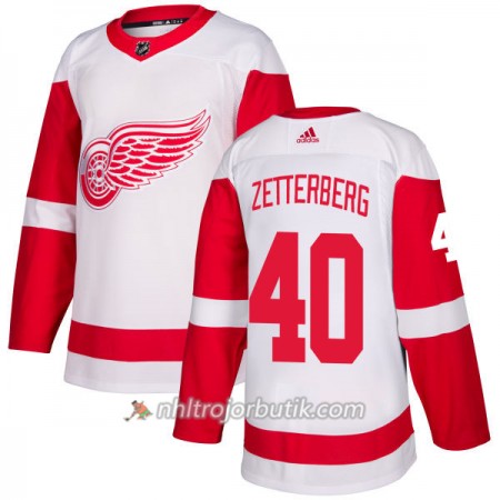 Män Ishockey Detroit Red Wings Tröja Henrik Zetterberg 40 Adidas 2017-2018 Vit Authentic